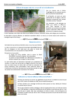 feuille de buis juillet 2025 page 8 a 12